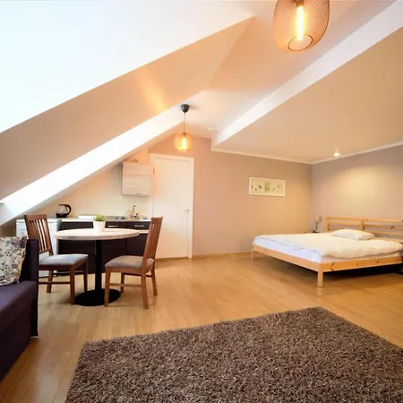 Old Town Apartment *